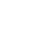 Ruler Icon