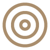 Bullseye Icon
