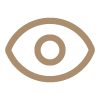 Vision icon