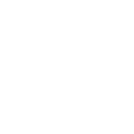 Globe Icon