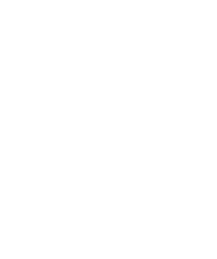 Shield Icon
